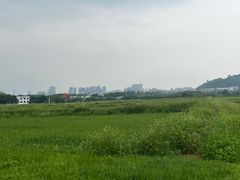 -光明小镇欢乐田园