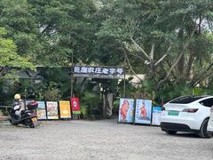 -芭厘农庄老字号·清远鸡