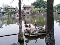 -东莞市可园博物馆