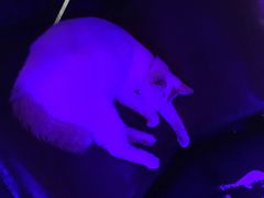 -星宿秘码(鼓浪屿老店)