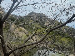 -北京凤凰岭