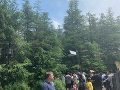 -哈利波特魔法世界