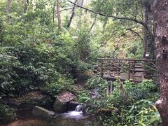 -海南热带雨林国家公园吊罗山景区