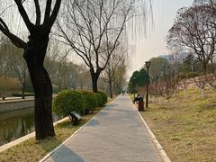 -元大都城垣遗址公园