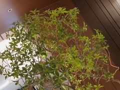 -火地铁板烧(昆山万象汇店)