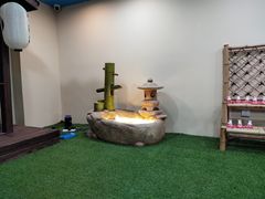 -白兔子密室(长寿路店)