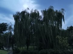 -李幺师鱼馆