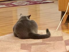 -壹人壹像工作室(购物公园店)