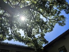 -普陀山雷迪森庄园