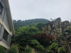 -老幺泉水鸡