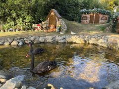 -HERRE·FARM 赫尔露营农场·团建聚会包场