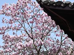 -琅琊山景区