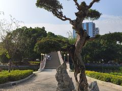 -金砂公园