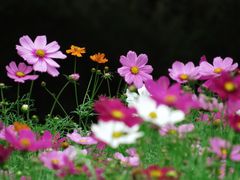 -钟山体育运动公园