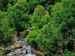 -百里山水画廊乌龙峡谷