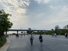 -宝安西湾红树林湿地公园