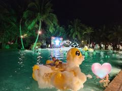 -海南清水湾莱佛士酒店