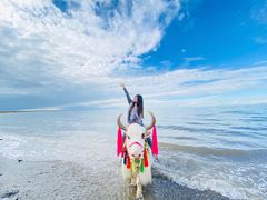 -青海湖国家重点风景名胜区