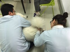 -纳吉亚猫专科动物医院博雅分院