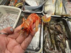 -旺来排档