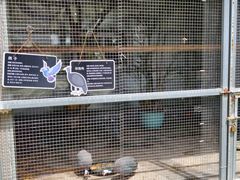 -厦门悦华酒店