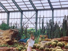 -南通洲际绿博园