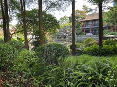 -顺峰山公园