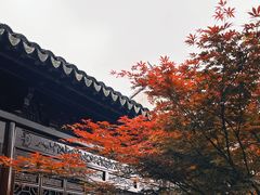 -檀园