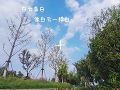 -三垟湿地