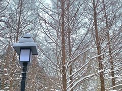 -白水寺森林公园