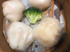 -南枝记