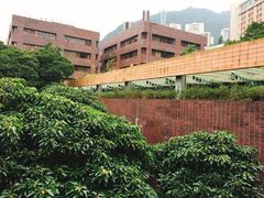 -香港大学