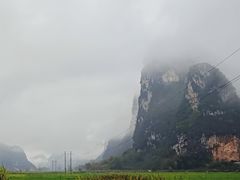 -明仕田园