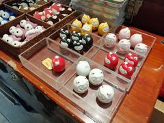 -猫咪博物馆(顶澳仔猫街店)