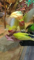 -酷嗒动物文化乐园(cutezoo西溪乐天城店)