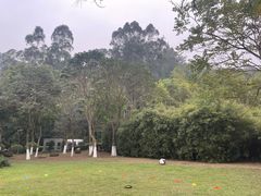 -火炉山森林公园