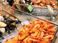 -圣廷苑酒店-世纪楼菲苑自助餐厅