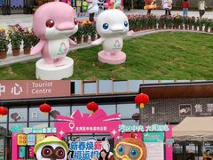-大湾区中央湿地公园
