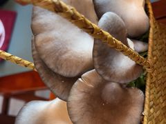 -老员外骨汤火锅(海州古城店)