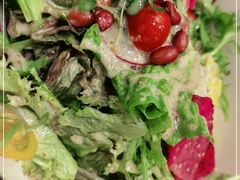 -紫光园·烤鸭·北京菜(劲松店)