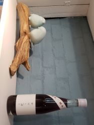 -晶禾臻语·问题肌研究所