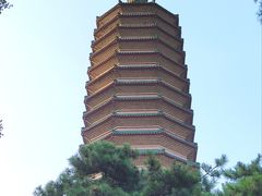 -八大处公园