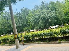 -大望京公园