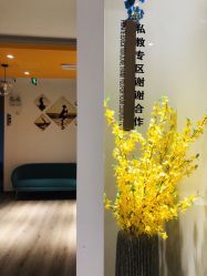 -静园瑜伽
