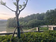 -紫金山山顶公园