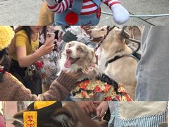 -华谊兄弟（长沙）电影小镇