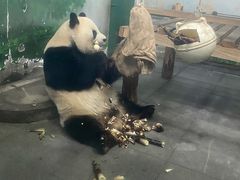 -无锡动物园·太湖欢乐园