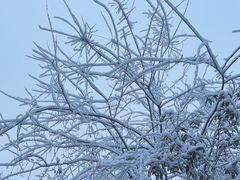 -武汉紫薇都市田园