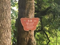 -张坝桂圆林公园