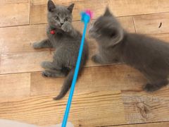 -么么咖啡(燕郊店)